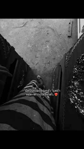 ##ไม่ฟีดก็จะลง #ฟีแถอะ🚀❤️ 