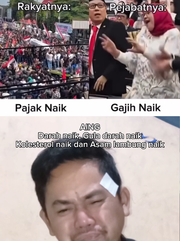 Semua pada naik 😭 #naik #naikgaji #pajakindonesia #dpr #herihermaw 