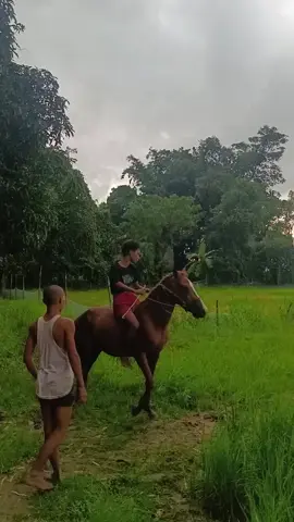 #ဒုန်းမြင်းဇာနည်မောင်🐴🏇#နွေကြမှတွေ့မယ်#မြင်းဝါသနာရှင်အပေါင်းအားလေးစားလျှက်ပါ🙏🐴 #မြင်းလောကကြီးတိုးတတ်ပါစေ🙏 