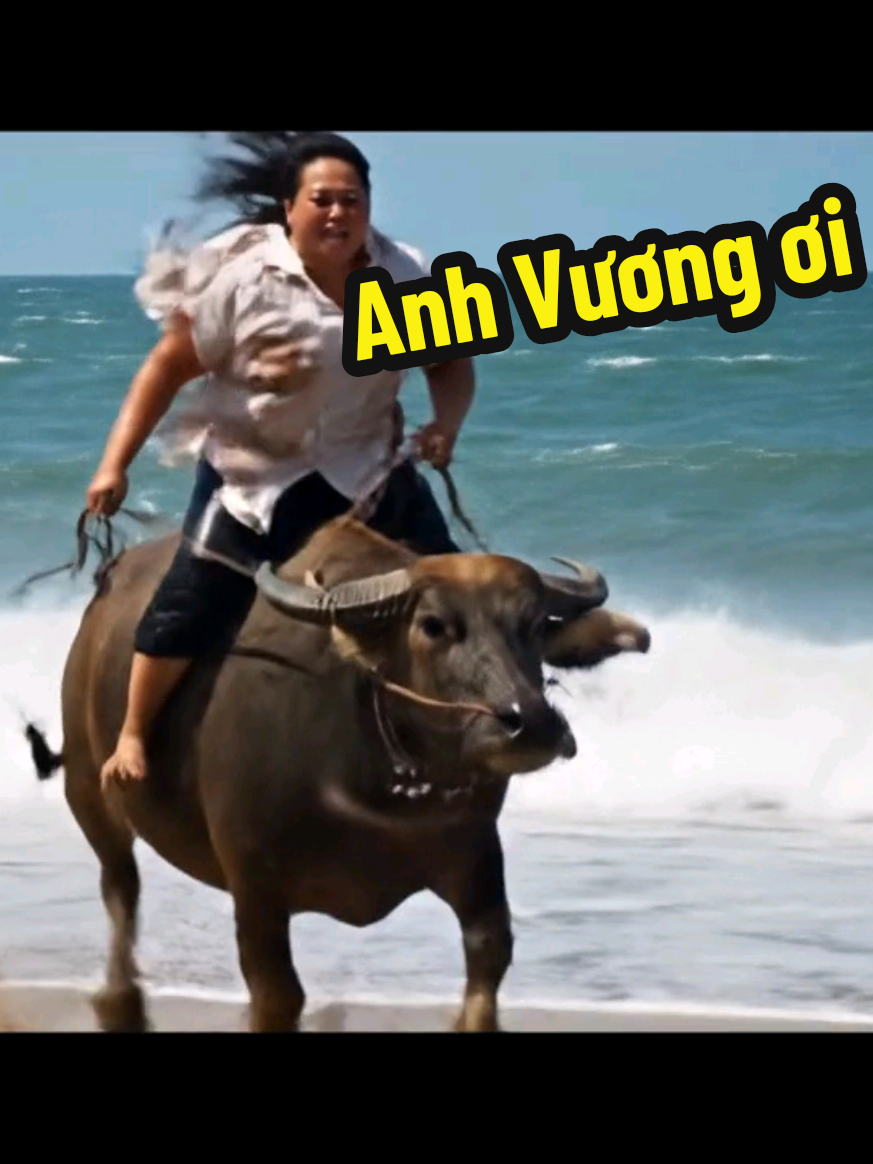 Anh Vương ơi anh đâu rồi #xuhuongtiktok #shortvideo #phamphuong #shorts #veo3 