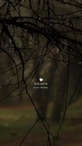 ❤️🌿 ᴀᴅʜᴜ ᴇᴘᴘᴀᴅɪ ᴜɴɴɪʟᴀᴇ ɴᴀᴀɴ ᴇɴɴᴀɪ ᴋᴀɴᴅᴇɴ...!!! #musicunivers01 #paruvaraagam #inbaragangal #spbalasubrahmaniam #CapCut 