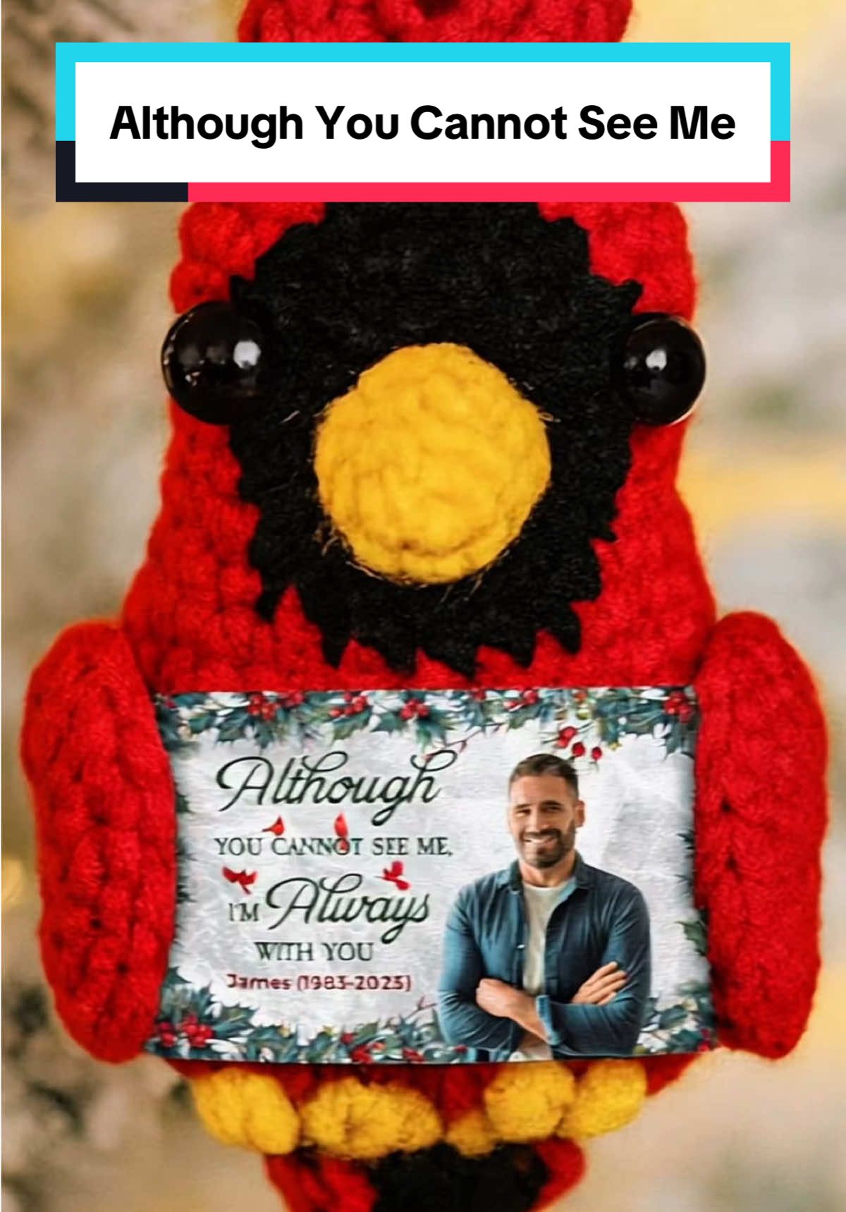 Cardinal ornament turns grief into love-filled remembrance 🕊️🎄 #macorner #ornament #remembrance #memorialgift
