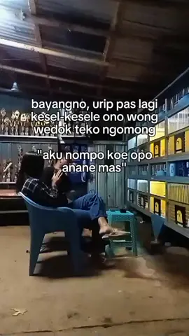 BAYANGNO sek bolo 😅😅 #fyppppppppppppppppppppppp #fypage #merpatikolong #merpatilovers  #merpatikolongbebas 