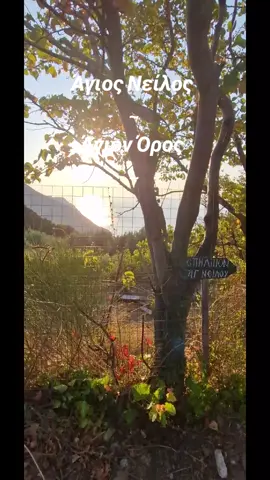 Μονάσας θεαρέστως ἐν τῷ Ἄθῳ τρισόλβιε, ἐν προσευχαῖς καὶ νηστείαις τὸν Θεὸν ἐξεζήτησας καὶ γέγονας δοχεῖον καθαρὸν τοῦ πνεύματος, ἀστράπτων τοῖς πιστοῖς ἀρετῶν τὰς λαμπηδόνας, δι΄ὧν φωτίζεις, Νεῖλε, τοὺς βοῶντάς σοι. Δόξα τῷ σε δοξάσαντι Χριστῷ, δωξα τῷ σε ἁγιάσαντι, δόξα τῷ ἐνεργοῦντι διὰ σοῦ πᾶσιν ἰάματα. #agionoros  #athos  #αγιονορος  #neilos  #ασκητες 