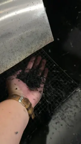 Kami menerima jasa pembuatan biji plastik jenis PP dan Sejenisnya dalam jumlah banyak... Kapasitas produksi mesin kami 10ton - 12ton/hari Harga bersaing & kami menggunakan mesin baru berteknologi terbaru untuk pembuatan pelet atau biji plastiknya,jadi hasil akan lebih maximal... #jasaprosesbijipp#jasaprosesbiji#jasaproses#pppk#pphitam