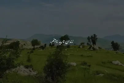 😍#barzani #foryou #tiktok #active 