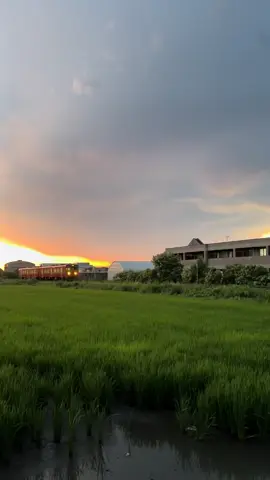 Jepang wayah sandekala✨
