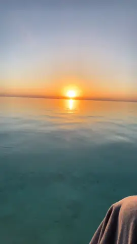 #الرايس #بحر #ووناسه 