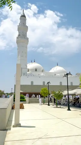 #ظہیر #ڈرائیور_گروپ_مکہ_مدینہ #bus_driver_makkah_madina #100kflowers_bus_driver_ksa 