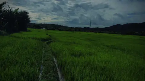 7147. “mấy cái vết thương đó nó không chảy máu đâu, nhưng nó lại đau cả đời.”