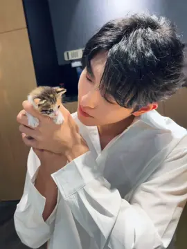 Hai bé mèo 😍😚🤏 #kipukaqiu #qiudingjie #abodesire #desiretheseries 