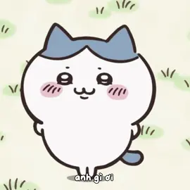 anh j oi #chiikawa #hachiware #jvay #dungcat 