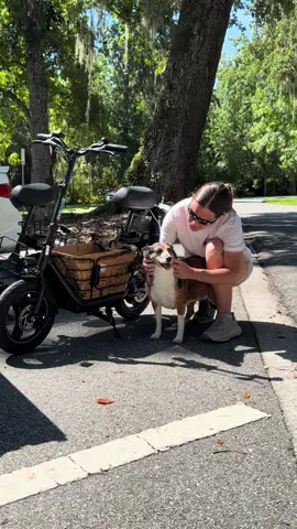 Bailey Goes For A Scooter Ride @Official Gyroor #dogmom #doglover #scooter 