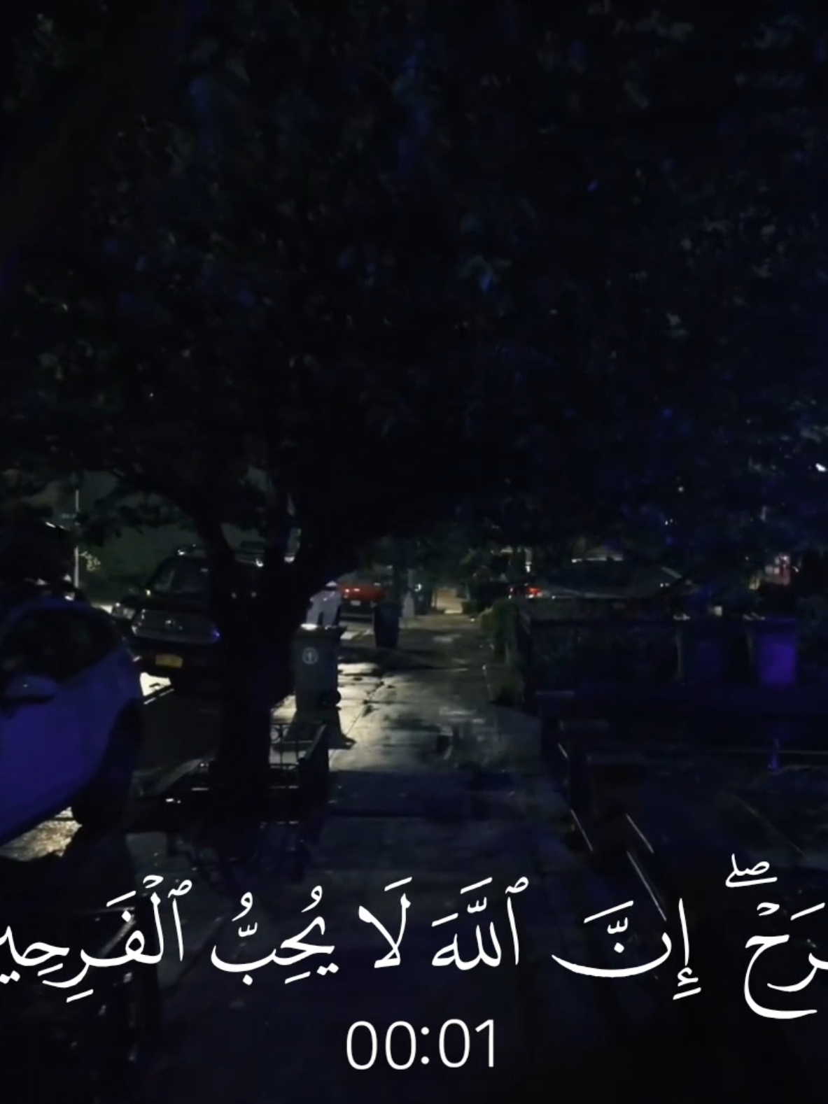لا تفرح ان الله لا يحب الفرحين 🤍 #ماهرالمعيقلي #قران #قران_كريم #quran #قران_كريم_ارح_سمعك_وقلبك 