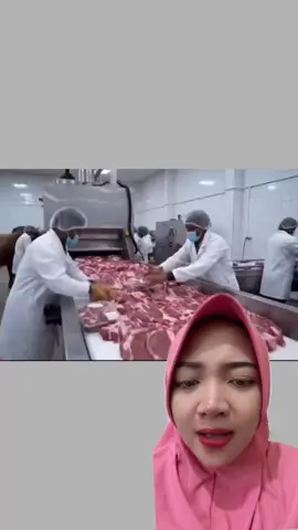 DAGING SAPI #sapi #viral #beritahariini #motivasi #dagingqurban 