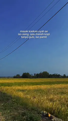 tp iki dudu tentang masakan #jowostory #jowopride 