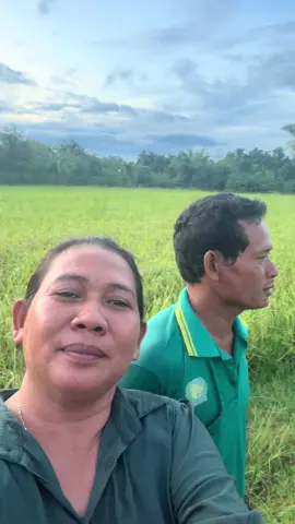 តាប្រជ្រុយមិនចេះស្វីតសោះ