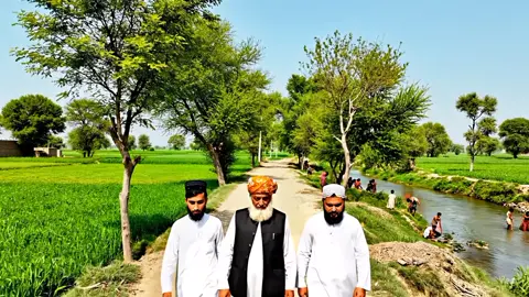 Maulana fazl ur Rehman #maulanafazlurrehman #جمعیت_ایک_نظریہ_ہے_اپنالیجئے #shamsafriditypist #AIgenerated #foryou 