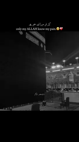 #CapCut Mera Allah bohat Rahim hai🤲🕋❤️🕌#islamic_video #iloveallah13938 #alquran #tilawat 