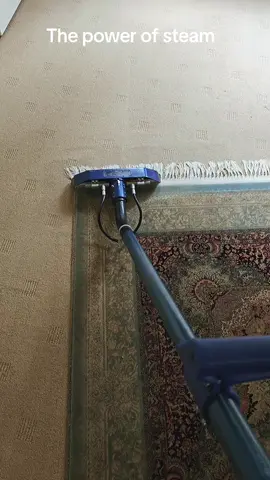 #cleaning #carpetcleaning #steamcleaning🔥 #rugcleaning #CleanTok 