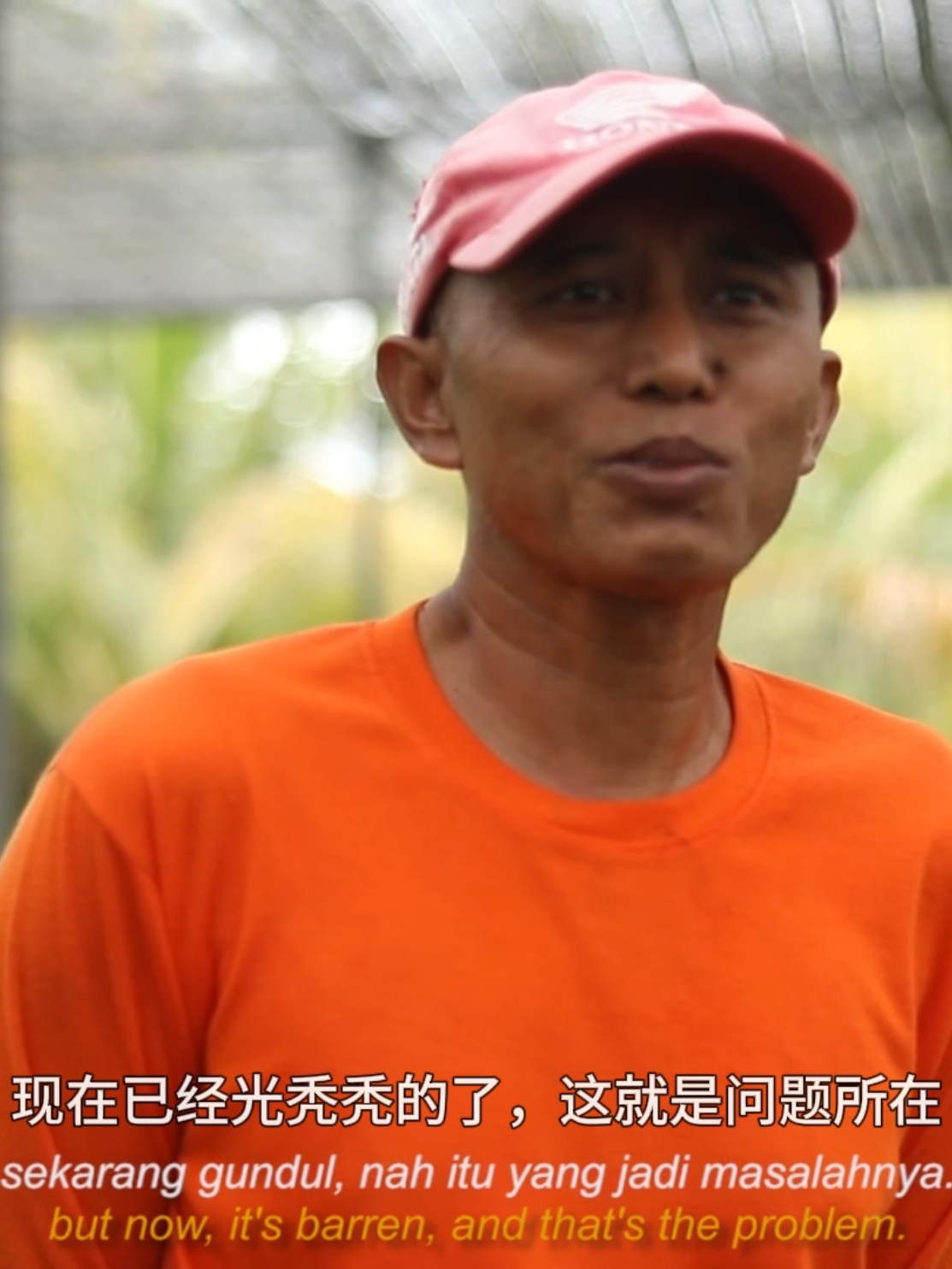 Kolaborasi Kementerian Lingkungan Hidup dan Kehutanan RI, NGO Akar Bhumi dan masyarakat dalam rehabilitasi Hutan Mangrove Sei Beduk, Batam. Program berjalan selama 3 tahun seluas 50 Ha dengan jumlah lebih dari 200ribu bibit Mangrove (R.Apiculata & R. Mucronata). Hutan Bakau terjaga, nelayan sejahtera. Ekosistem Mangrove lestari, kehidupan terlindungi. #savemangrove #savetheplanet  #savefisherman  #akarbhumiindonesia #akarbhumi 