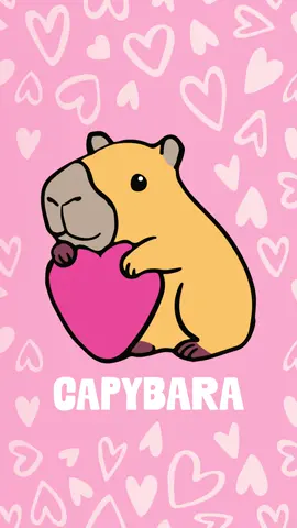 Capybara Style - so cute 😍 🦫 Die neue TOPModel Federtasche kommt mit mega süßem Capybara-Print! Cool, niedlich und perfekt für deinen Schulstart! 🎒✨ Wer liebt Capybaras auch so sehr wie wir? 🦫🙋‍♀️  #topmodel #topmodelbydepesche #backtoschool #fyp #capybara