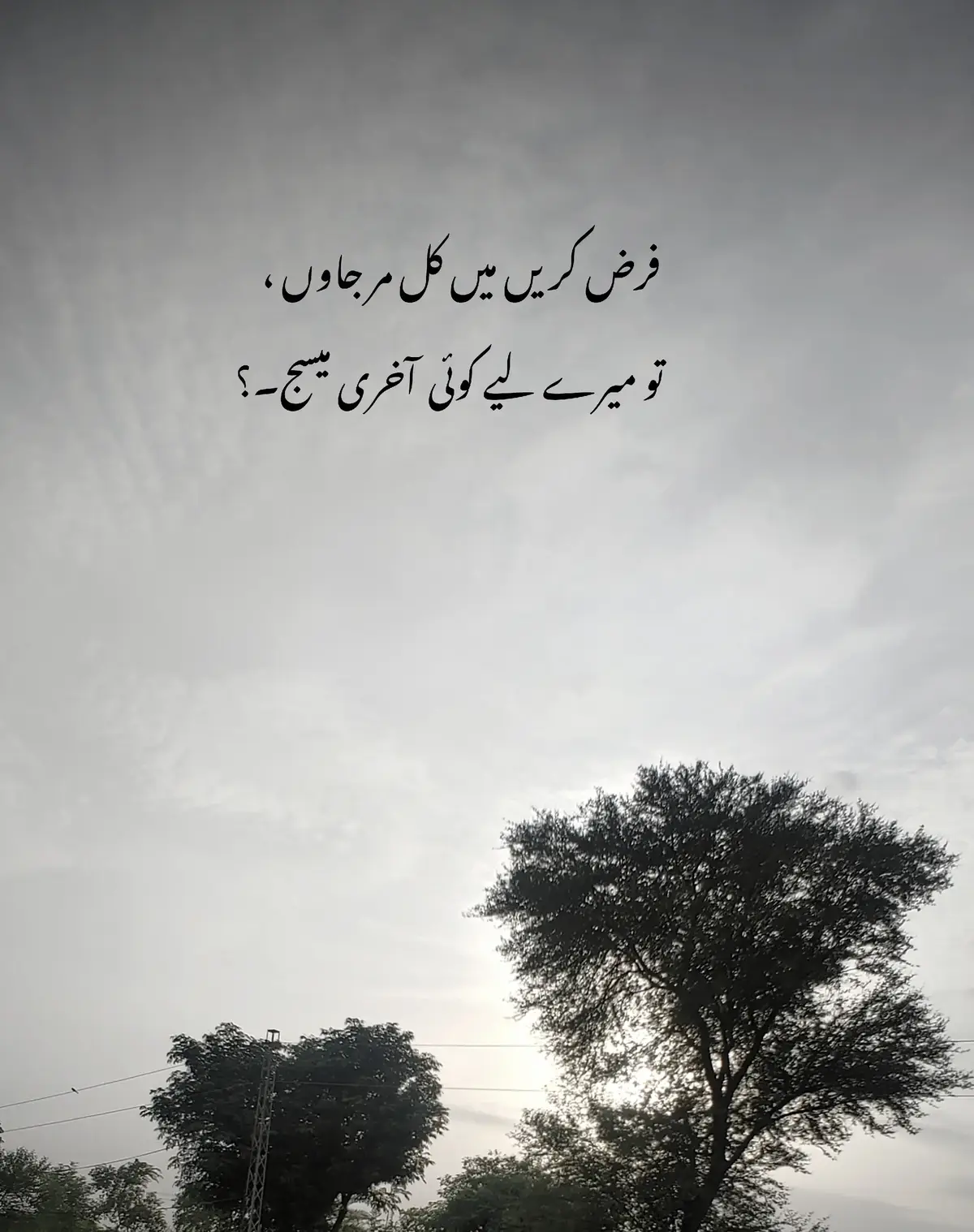 #sadstory #poetrystatus #zain #fyp @Ｈ 𝐎 Ƥ 乇 🫀🫵🏻 