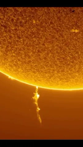 OLHA A ESCALA DISSO! ☀️🌍 No dia 18 de fevereiro de 2024, o Sol lançou uma imensa ejeção de massa coronal (CME) com nada menos que 210 mil km de comprimento — o equivalente a mais de 16 Terras enfileiradas! 😳 Mas, por sorte (ou alinhamento cósmico), Vênus estava entre a Terra e o Sol naquele momento — e acabou absorvendo a maior parte do impacto. Graças à posição dos planetas, nós escapamos de uma possível tempestade geomagnética. O universo protege… às vezes. 📸 Imagens incríveis capturadas por: @eduardoschaberger 👉 Siga @raciocinio_diario pra mais curiosidades que revelam a grandiosidade e os mistérios do cosmos. #sol #cme #espaço #astronomia #nasa         