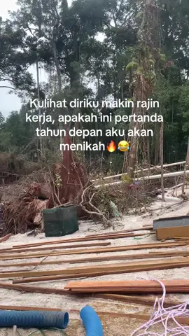 Kerja tanpa libur🔥#tambangemaskalimantan #tambangemas #kalimantan #fyp #foryou 