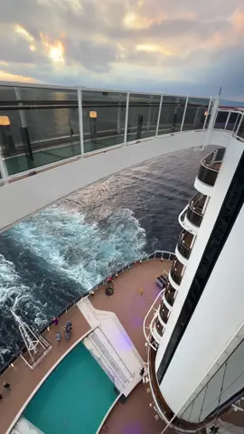 Cruises>>> #msc #cruise 