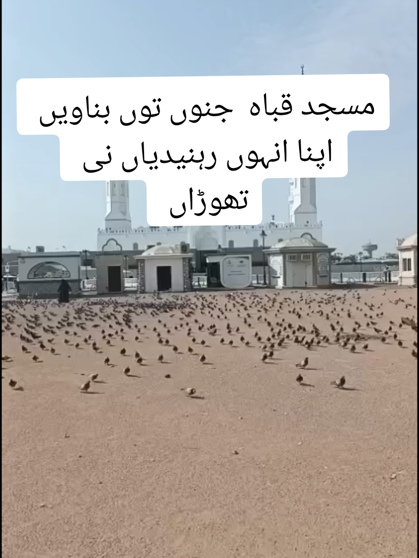 #zahidaparveen33 #subhanallah #beauitfu #masjidquba @سچ کڑوا ہوتا ہے @Zahid Naseer @M Shairazi Guhmman M @Ahmed bhai ❤️ @Shahid Naqshbandi @Panjtani Rajput 786 @qari nasrullah official 💎💎💎 @بشارت کشمیری 🌴 @نور المدینہ🌹🌹🌹 @Fatima @Hooria Api Official #foryoupage 