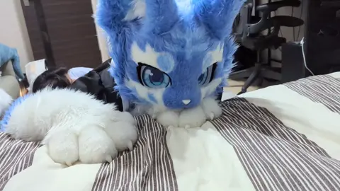 手にじゃれるロンヤ✨#けもの着ぐるみ #fursuit #furry 