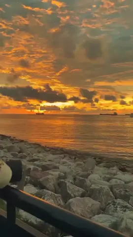 #sunset #fypppppppppppppp #fyyyppliss #xyzbcafypシ #saddd 