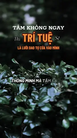 Thông minh đến mấy mà tâm không ngay thì trí tuệ cũng chỉ là lưỡi dao tự cứa mình  #ngộđểan #phatphapnhiemmau #cliptrieuwiew #caunoihay #xuhuongtiktok 