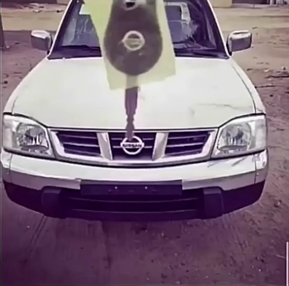 #انزل ستوري#ددسن غمارة دبه