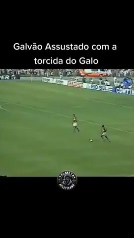 Pra tremer mais que isso tem que ser cruzeirense em dia de clássico 🤣🐓
