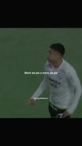 Murieron como guerreros🟡👏🏽 #universitariodedeportes #ydaleutodalavida #garracrema #viral #paratii 