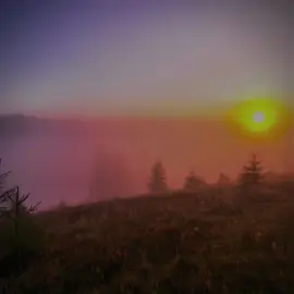MATRANG - Заманчивая