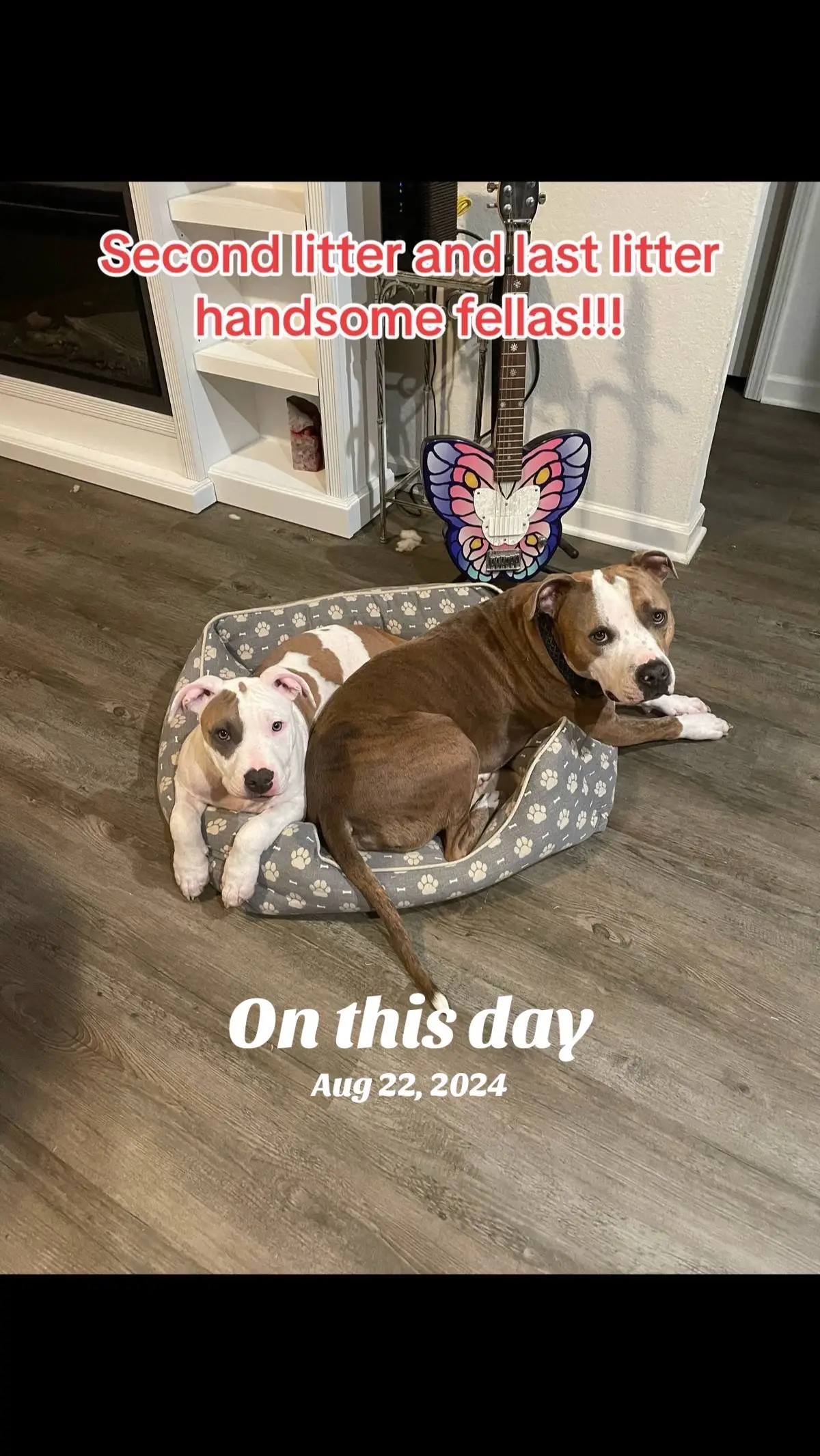 #onthisday 