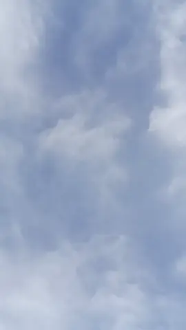 vk tá de volta 