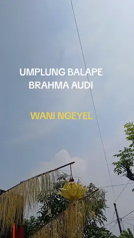 UMPLUNG BALAP BRAHMA AUDIO#soundviral #SOUNDHORREG #BRAHMAAUDIO #fyyyyyyppppp @fyp tiktok 