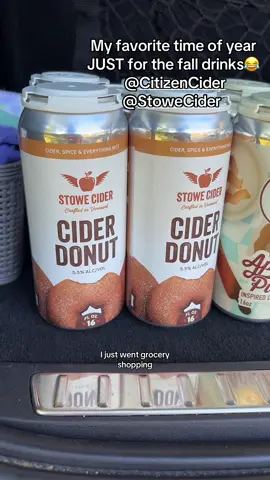 YUMMMMM🍎🍩🍁  #FYP #fall #cider #ciderdonut #applepie @Stowe Cider @Citizen Cider 
