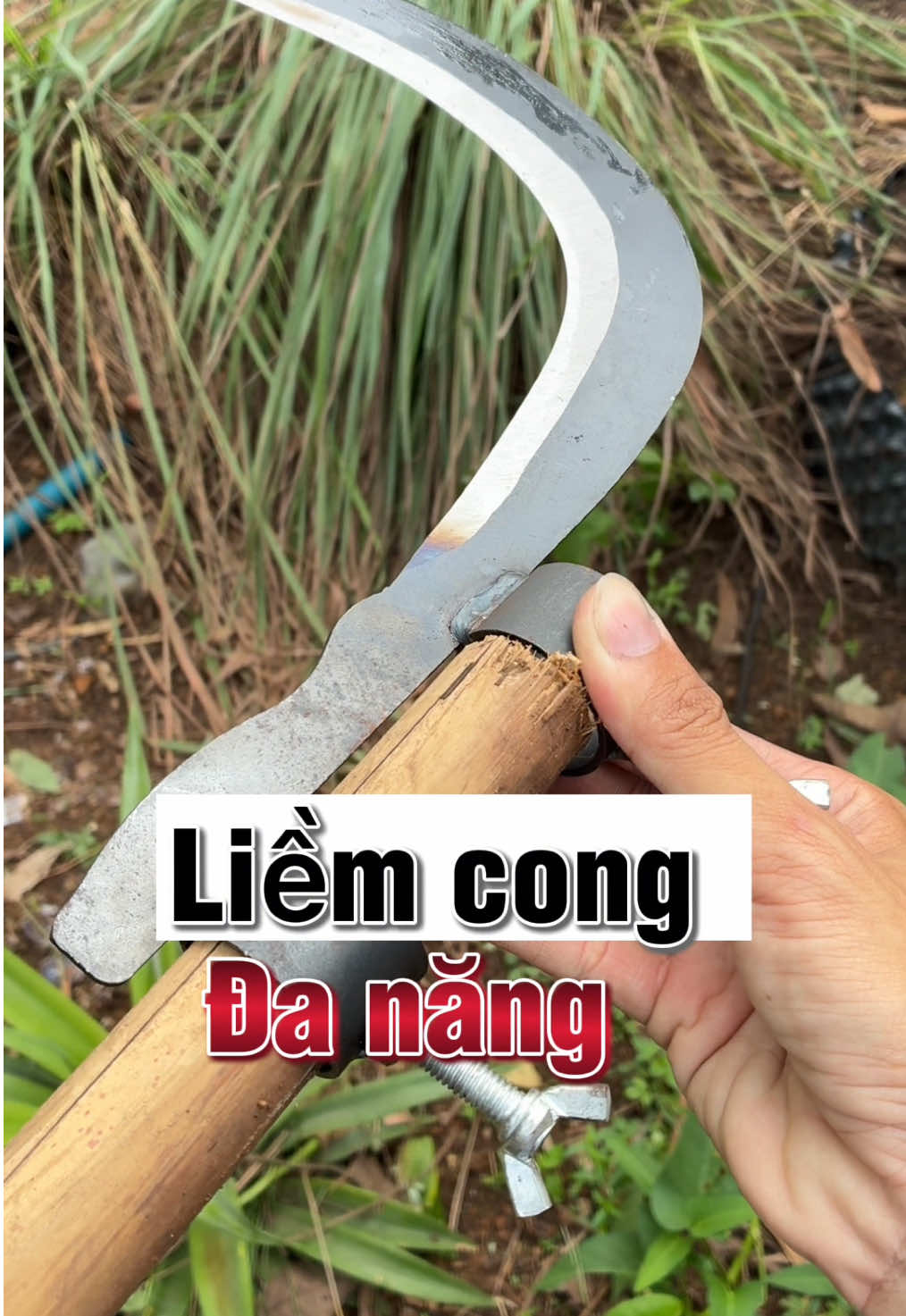 Trả lời @Ngọc Điệp liềm cong đa năng. #tonytaisuoinho #liemcong #liemcongdanang #liemcatcanh #liemgiatdua 