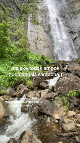 #fyp
