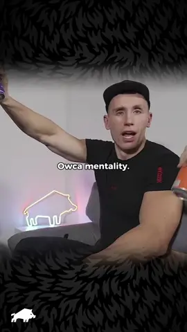 #dzik #wkdzik #ekipawk 
