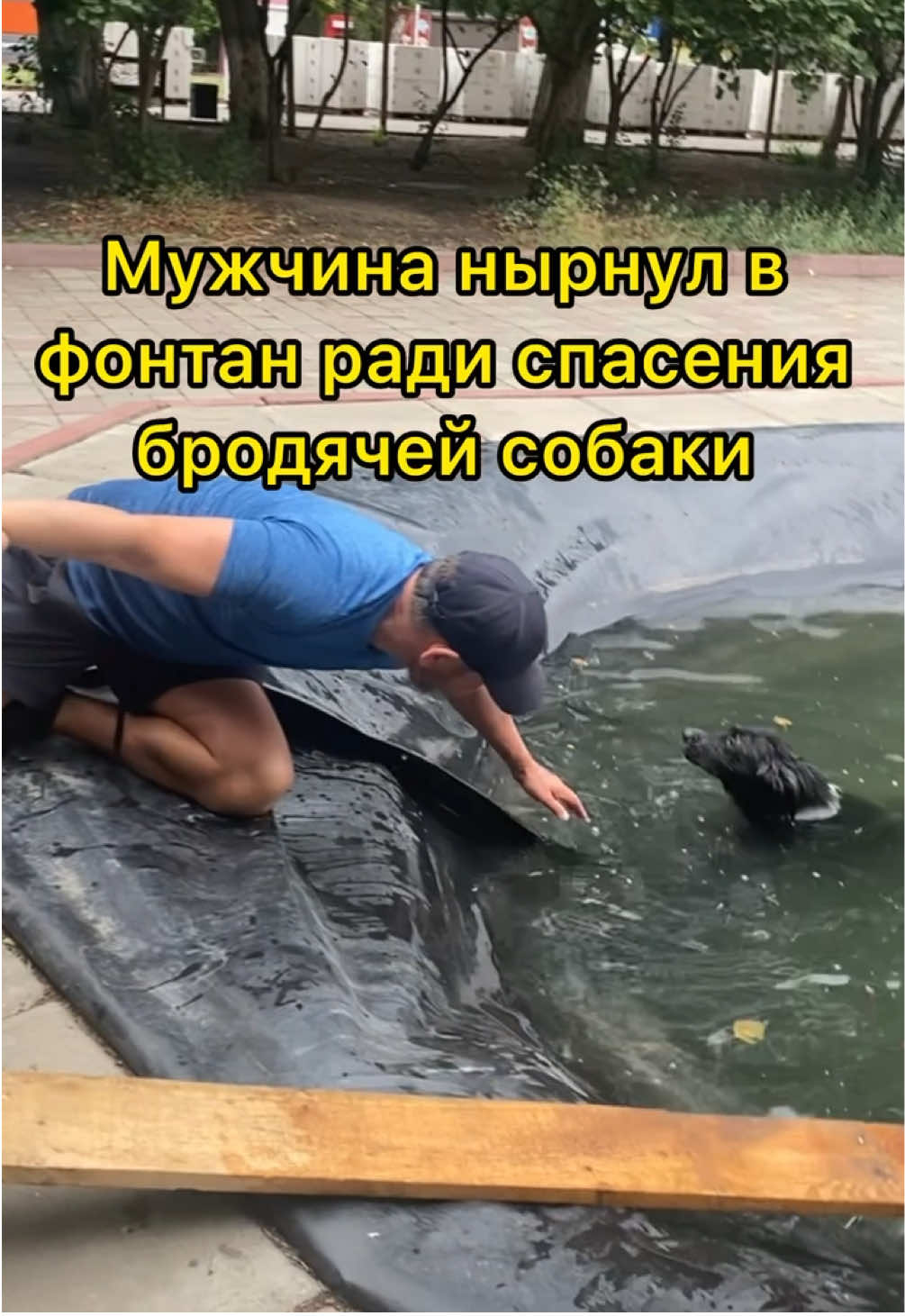 Мужчина нырнул в фонтан, чтобы спасти бродячую собаку. Мужчина и два пенсионера спасали собаку в центральном парке в Актобе, которая чуть не утонула в фонтане, передает «Диапазон». Бродячая собака чуть не утонула в большом фонтане в центральном парке. Неравнодушные люди пытались ей помочь, но достать её самостоятельно у них не получилось.  Кинулся собаке на выручку, не побоявшись залезть в воду, бизнесмен, владелец компании «Сenter Group», спортсмен 54-летний Самат Урмагамбетов (видео в редакцию предоставил сам спаситель). Совместными усилиями добрые люди смогли вытащить несчастное животное. Корреспондент связалась со спасителем собаки.  - Вот не ожидал я такой славы из-за этого поступка, - смеется Самат Урмагамбетов. - Я бегаю каждый день, у меня пробежка 5-10 километров. Смотрю, женщина в парке мечется, ищет зачем-то доску. Смотрю, а в воде собака плавает, женщина пытается ей помочь. Хотел вытащить собаку за шкирку, но там скользко, а она от страха кусается. Я, недолго думая, туда прыгнул в воду. Вода была прохладной, но я еще моржую зимой, поэтому никаких проблем в этом не было. Женщина проложила доску, я собаку подталкиваю к ней, но она боится и все-равно кусается. Минут десять ее пытался вытащить, еле-еле удалось, хотя она ослабла уже. Не знаю, сколько бедное животное было в воде. Женщина, оказывается, записывала видео! Я не заметил, был увлечен спасением. Но место опасное, я сам еле вылез оттуда. Скользко, ухватится не за что... #актобе #актюбинскаяобласть #газетадиапазон #газета #диапазон #актюбинскаягазета #собака #спасение #вода #фонтан #парк 