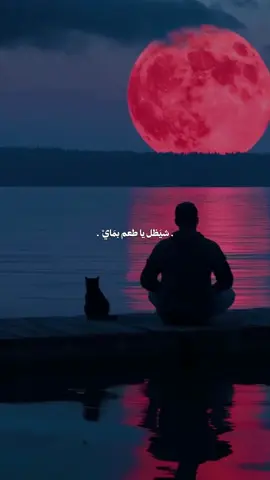 يالردتك تبقى وياي💔.. #مجتبى_الكعبي #fypシ #explore 