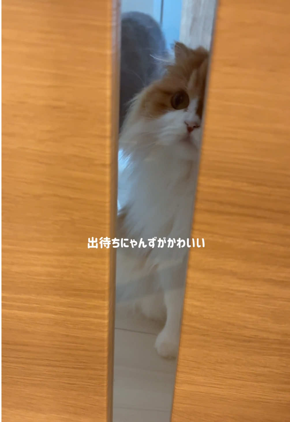 詰め替えvlog🫧 #主婦の日常 #詰め替え #restock 