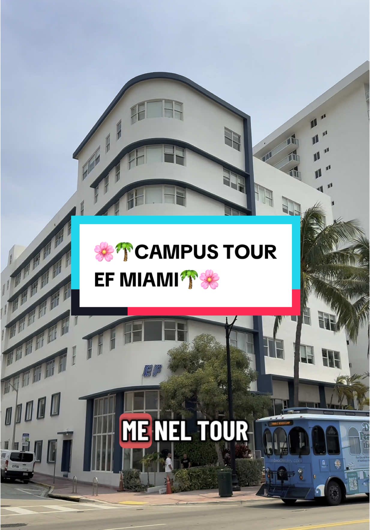 EF MIAMI🌴🌺🥥 Campus Tour @efitaly #efmiami #efcampusmiami #tourscuolaefmiami #efmiamicampus #tour 
