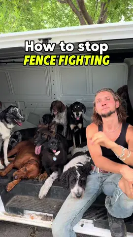 Fence fighting and how to stop it ❌ . #DogTraining #dogtrainingtips #dogtrainingadvice #doglover #dogpsychology #reactivedog #puppytraining #dog #dogbehavior #dogpsychology #dogpack #reactivedog #aggressivedog #viral